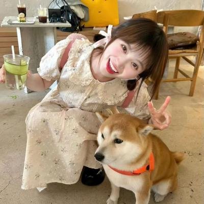 犯罪警匪